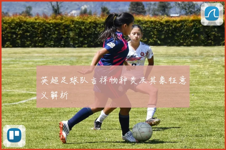 英超足球队吉祥物种类及其象征意义解析