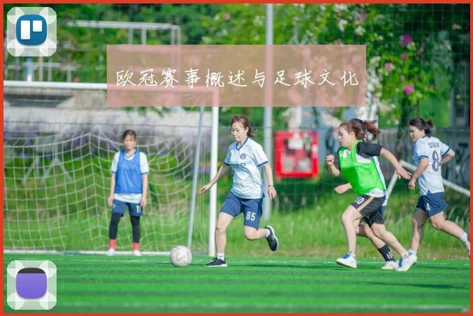 欧冠赛事概述与足球文化