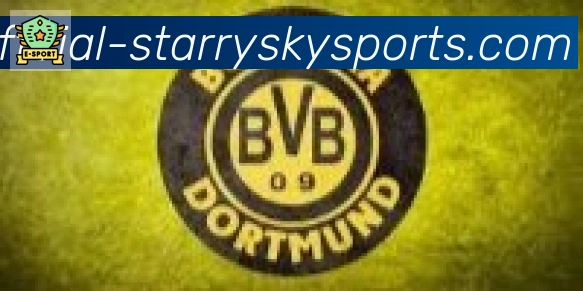 星空体育app合作伙伴
